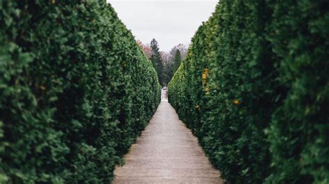 Jardiny Botaniczne w Caen: Zabytkowa Zieleń i Urokliwe Otoczenie!