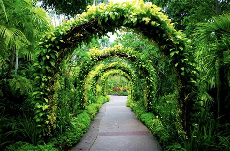  Ogrody Botaniczne Nanyang - Mistrzowska aranżacja natury w sercu Chin!