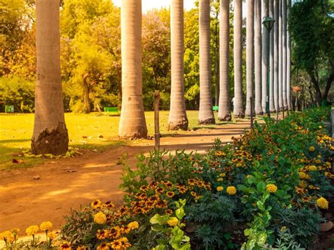  Północny Park Kultury - zielona oaza w sercu starożytnego miasta!