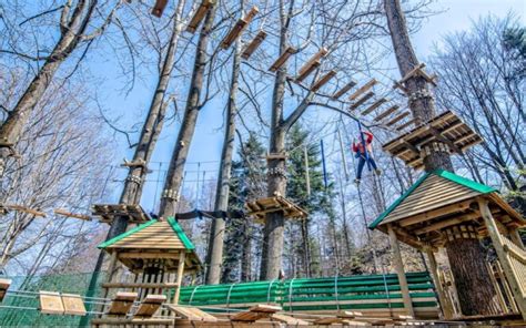  Park Linowy w Hengshui - Zwyciężaj Węzły i Podziwiaj Piękno Przyrody!