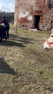 Park Przyjazny dla Zwierząt - Niezwykłe Spotkania i Relaks w Sercu Dongying!